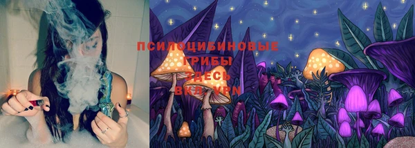 MDMA Premium VHQ Каменногорск