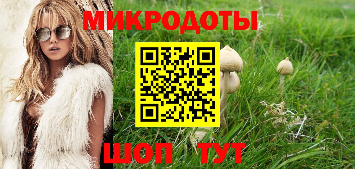 Псилоцибиновые грибы GOLDEN TEACHER Энгельс