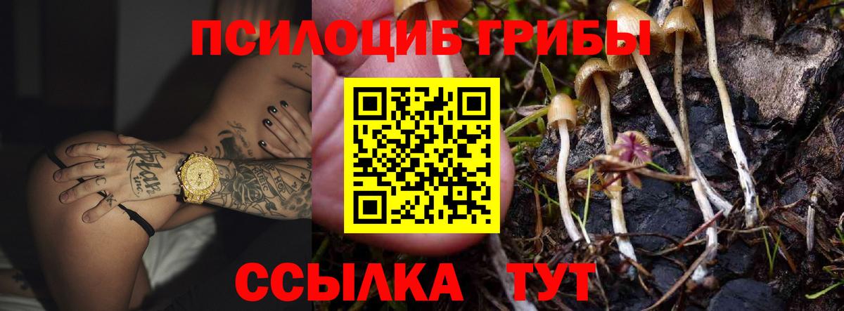 Псилоцибиновые грибы ЛСД  Псилоцибиновые грибы мухоморы  закладки  Энгельс  Вход с VPN 